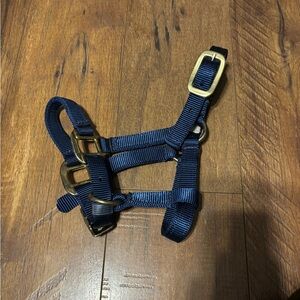 NWOT Foal/small mini halter blue